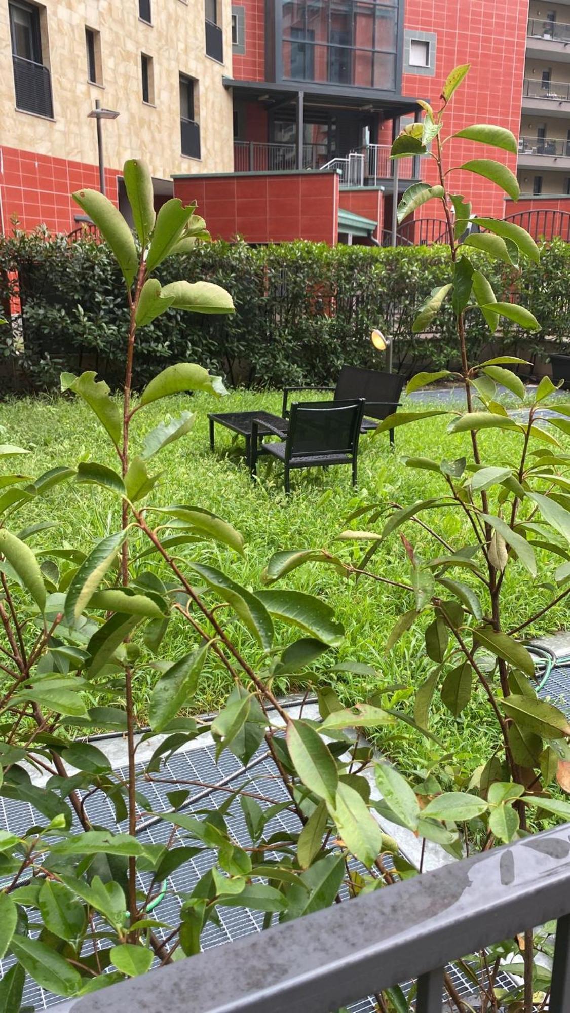 Cos54 - Exclusive Apartment With Garden In 米兰 外观 照片